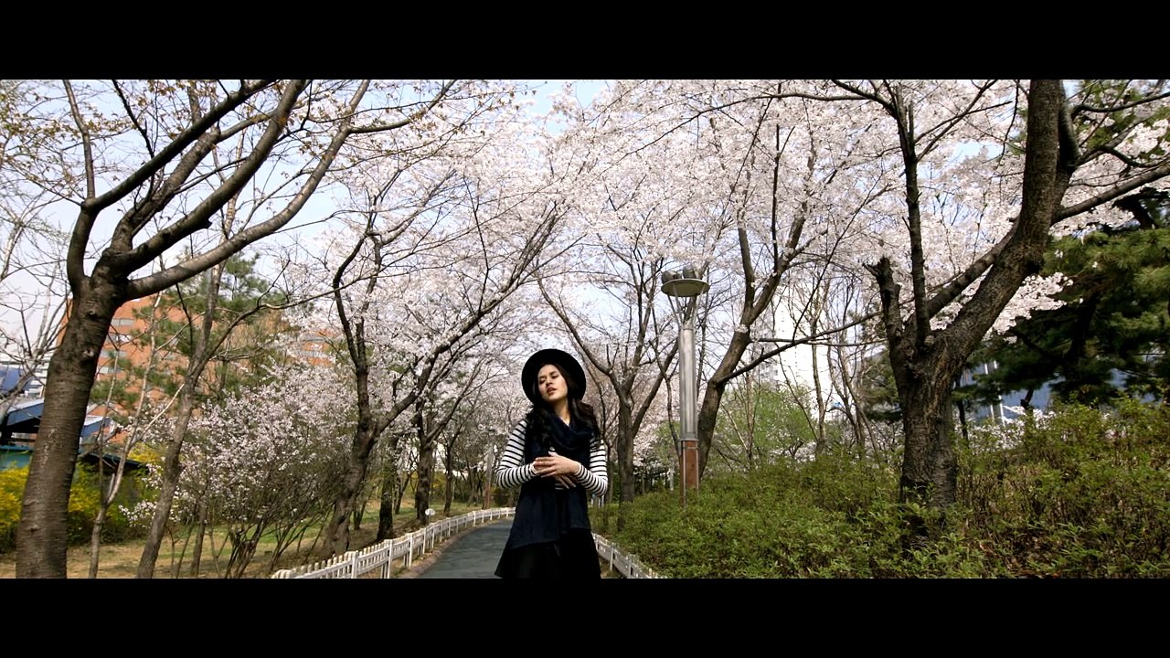 Raisa -  afgan hit singer