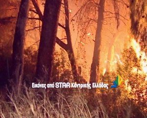 Τη συνεργασία των πολιτών ζητά η Πυροσβεστική Υπηρεσία