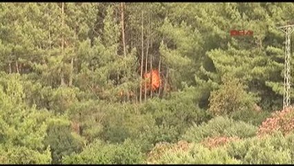Kumluca'daki Orman Yangını Büyüyor- Ek