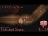 T for Terraria Expert Mode: Ep.023: Uninvited Guests