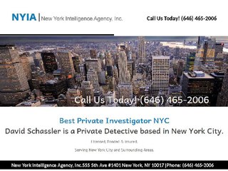 top private investigators