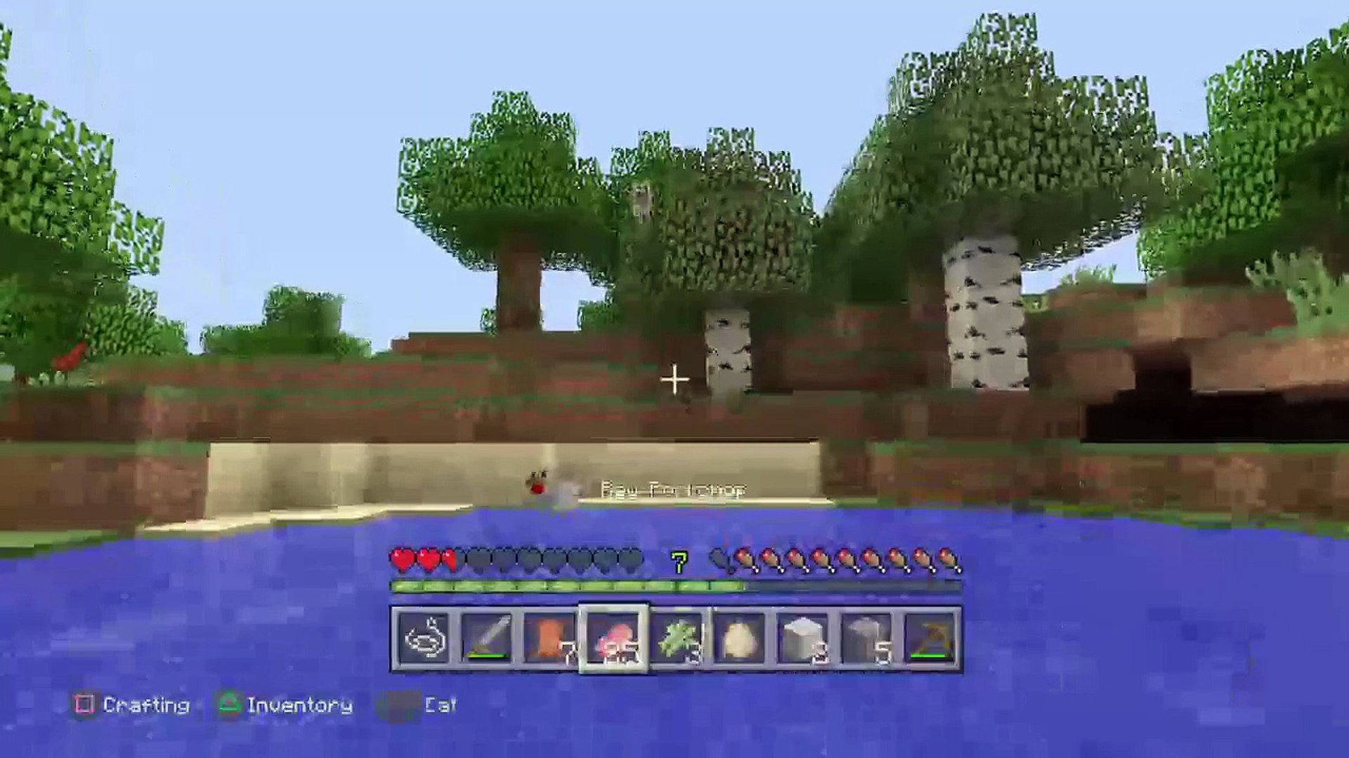 Minecraft  island Survival#1 (4)