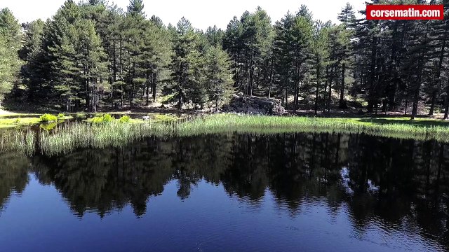 Randonnées en Corse : Creno, le lac aux nénuphars