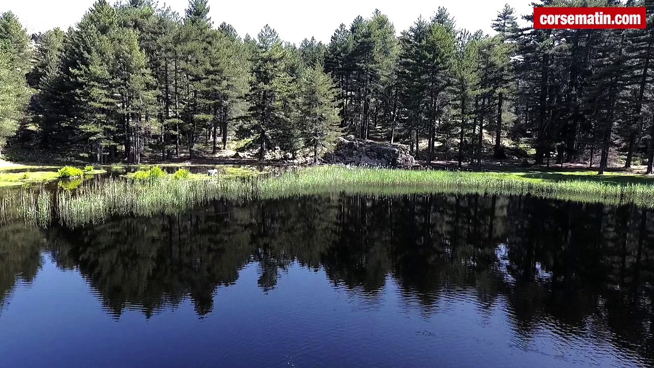 Randonnées en Corse : Creno, le lac aux nénuphars