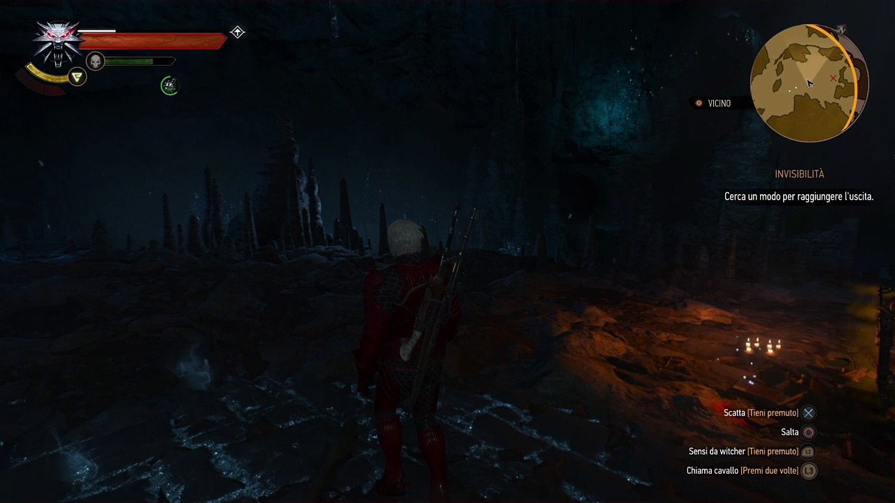 The Witcher 3: Wild Hunt invisibilità