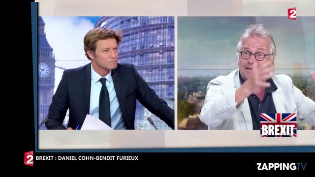 Brexit - Daniel Cohn-Bendit pousse un coup de gueule : C’est la victoire du mensonge (Vidéo)