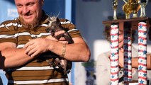 The 2016 World's 'Ugliest Dog' Has Been Revealed