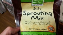 Zesty mix sprouts, mung bean sprouts, and rejuvelac