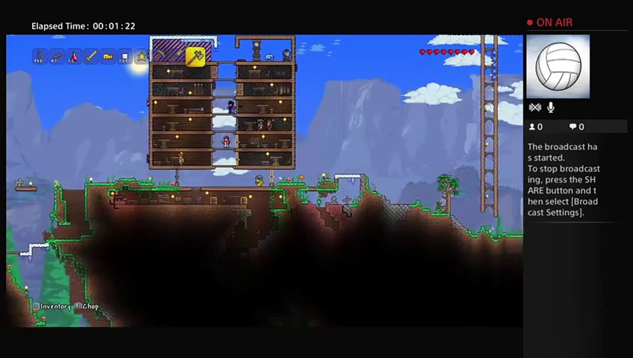 Terraria (13)