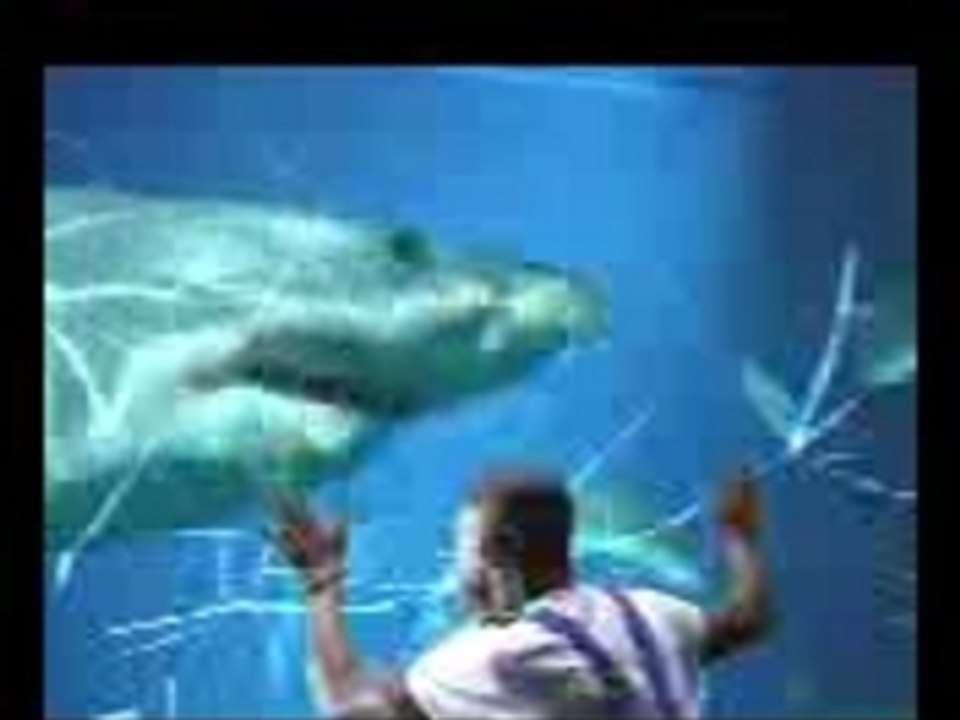 Aquarium