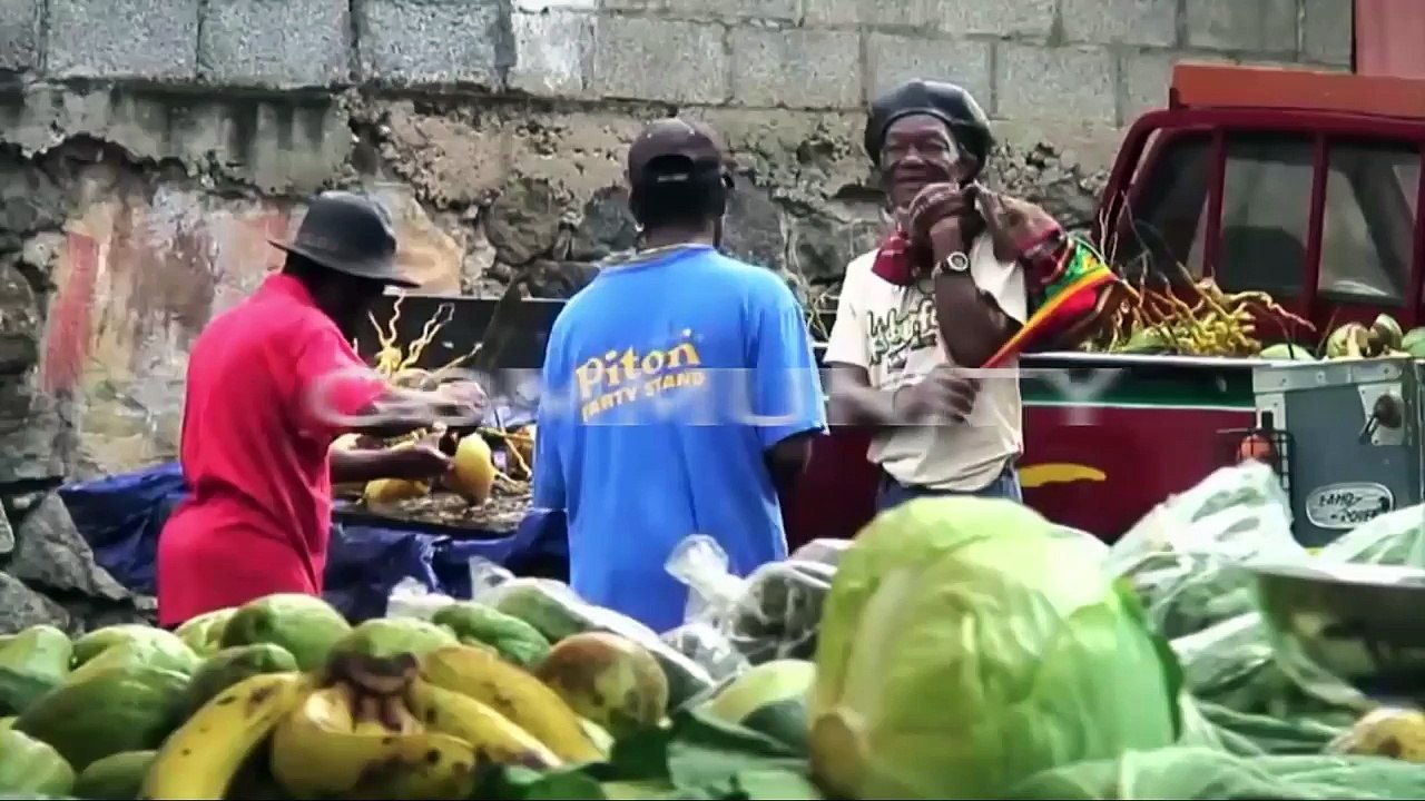 Crowd Funding Video   My Caribbean Family