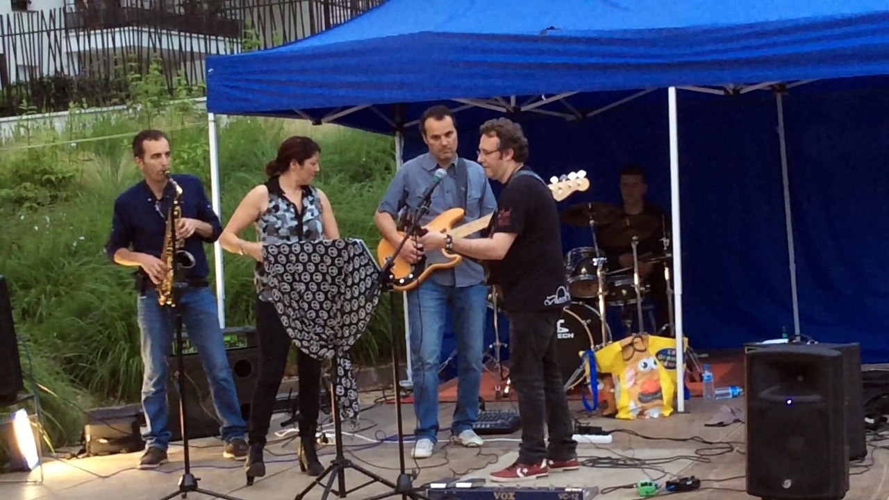 French Chelsea Cover Inxs Never Tear us apart