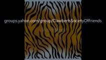 Tiger Stripes Video #1