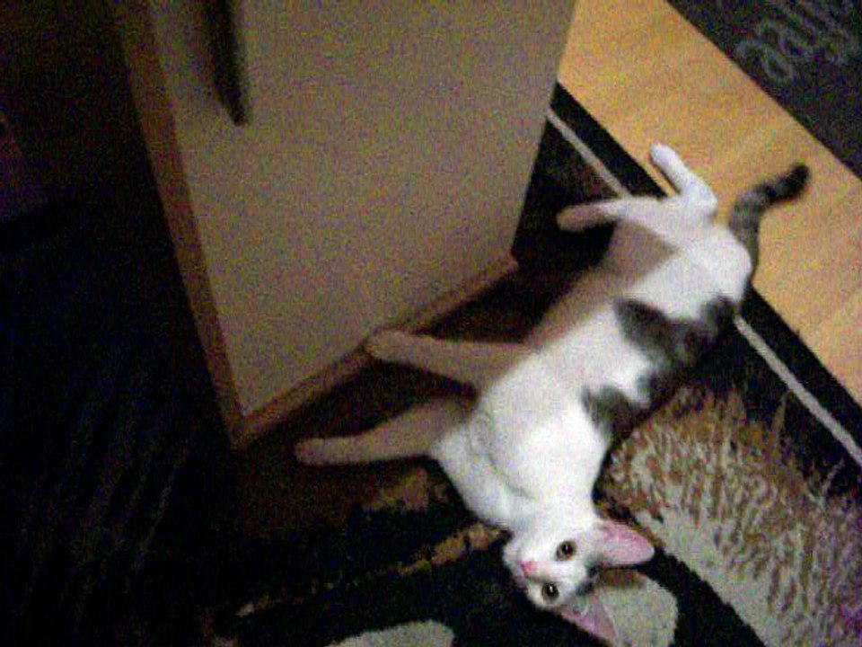 Vinzent am 23.06.2016