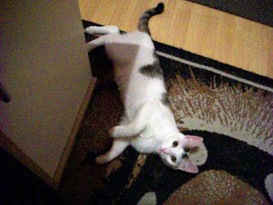 Vinzent am 23.06.2016