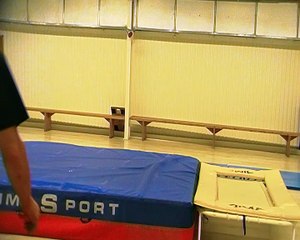 Henri Mauriès Salto.AR Back Forward