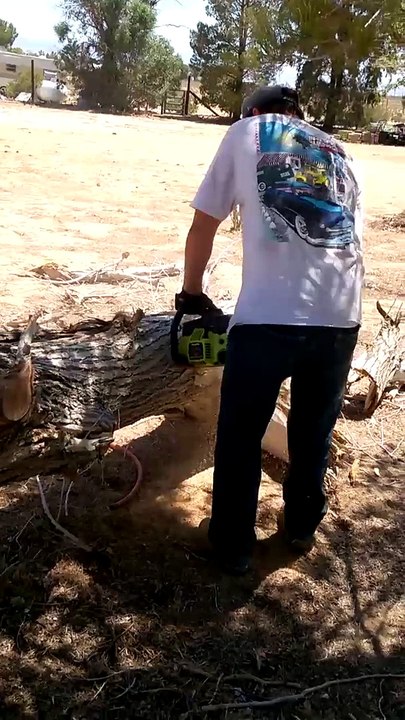 Un homme coupe du bois et ne se rend pas compte qu’une araignée monte sur son dos