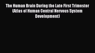 Read The Human Brain During the Late First Trimester (Atlas of Human Central Nervous System