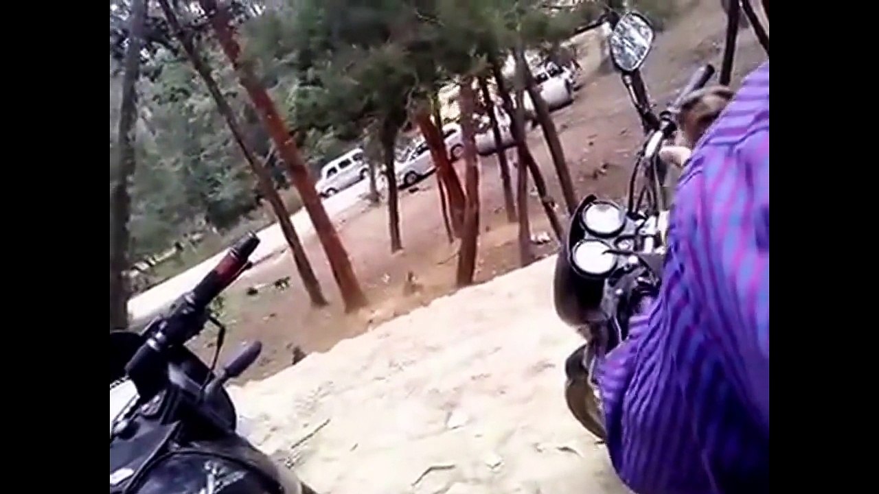 funny monkey in India