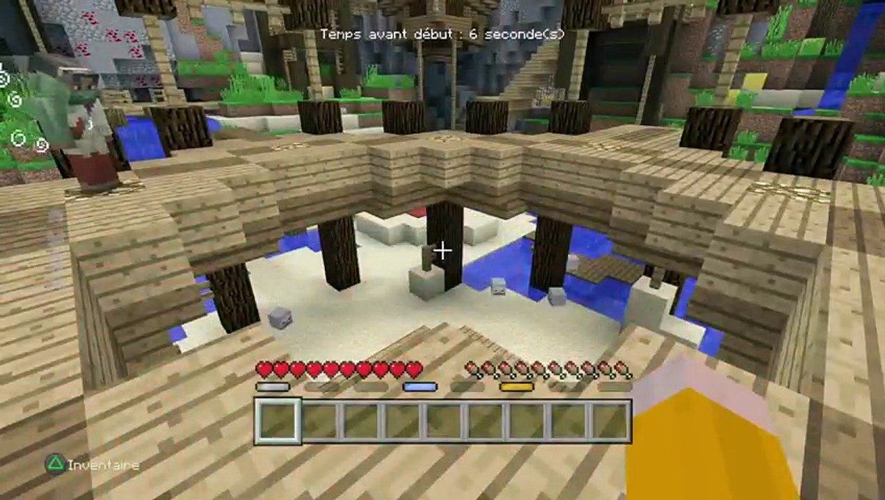 Minecraft (4)