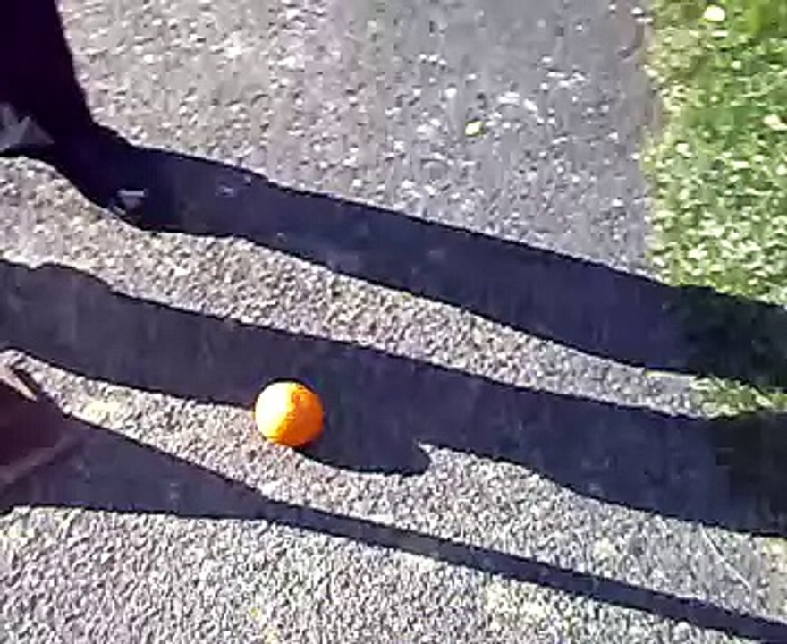 Orange munched