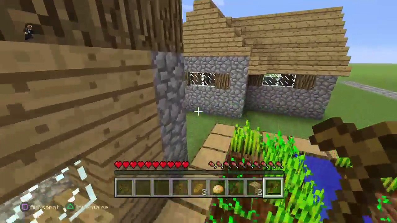 Minecraft arene (70)