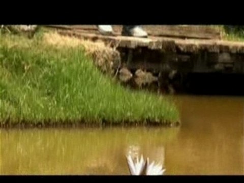 DADAH DE FORT DAUPHIN JANIE