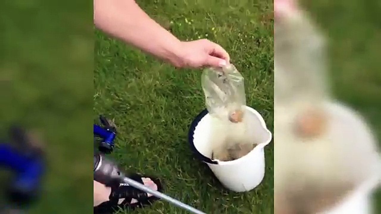 Как почистить ВЕДРО КАРТОШКИ за одну минуту  Быстрый способ почистить картошку