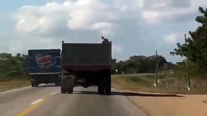 Коварный план побега из грузовика