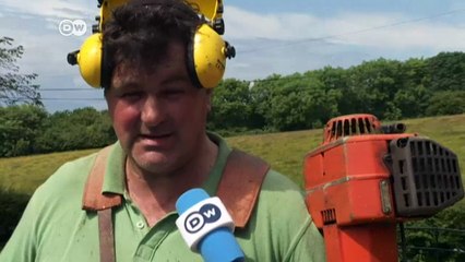 Scots react to Brexit vote | DW News