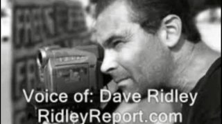 Dave Ridley Audio Update 2009-01-28 - Multiple Stories