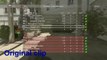 Trolling on MW3 - Making a Kid argue with himself