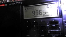 Radio Cairo with good modulation 9965 kHz received in Romania