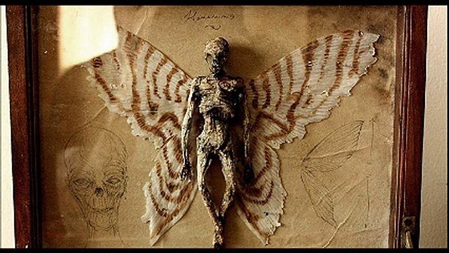 Découverte de squelettes humains avec des ailes !?