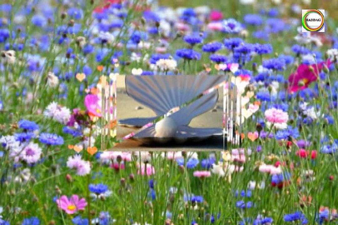 Mhenna OUZAID d ZOHRA ~ Tawizeţ ~