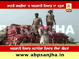 Onion From Afgan imported