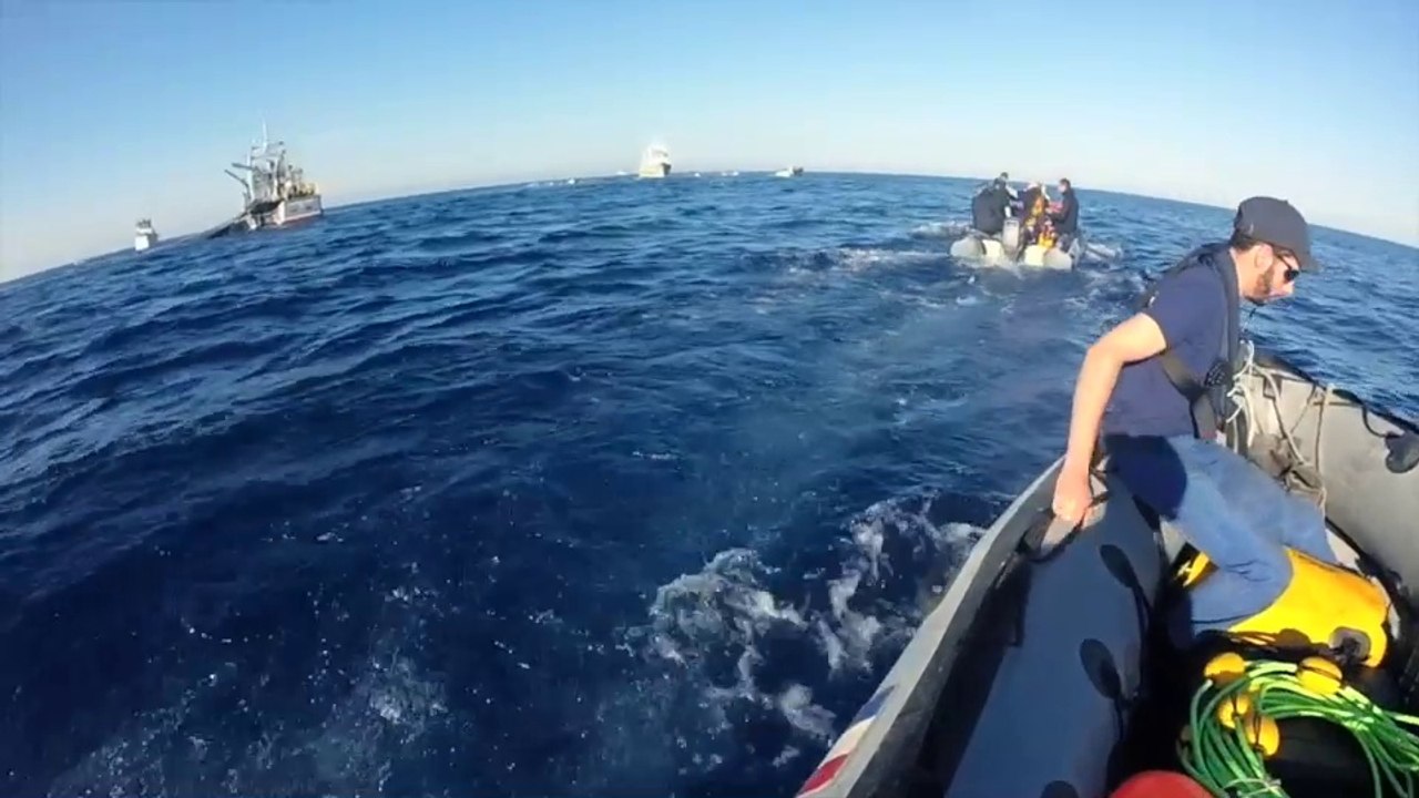 La pêche au thon rouge sous haute surveillance