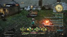 [PS4]Final Fantasy XIV [Summoner]{The Gear of Change}{Havensward}