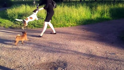 Best Fails of April 2016 _ Funny Fail Compilation