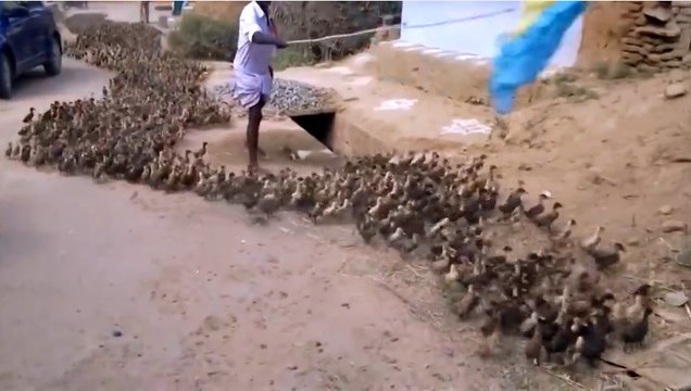 Такого еще никогда не видел )) Я в шоке !!!