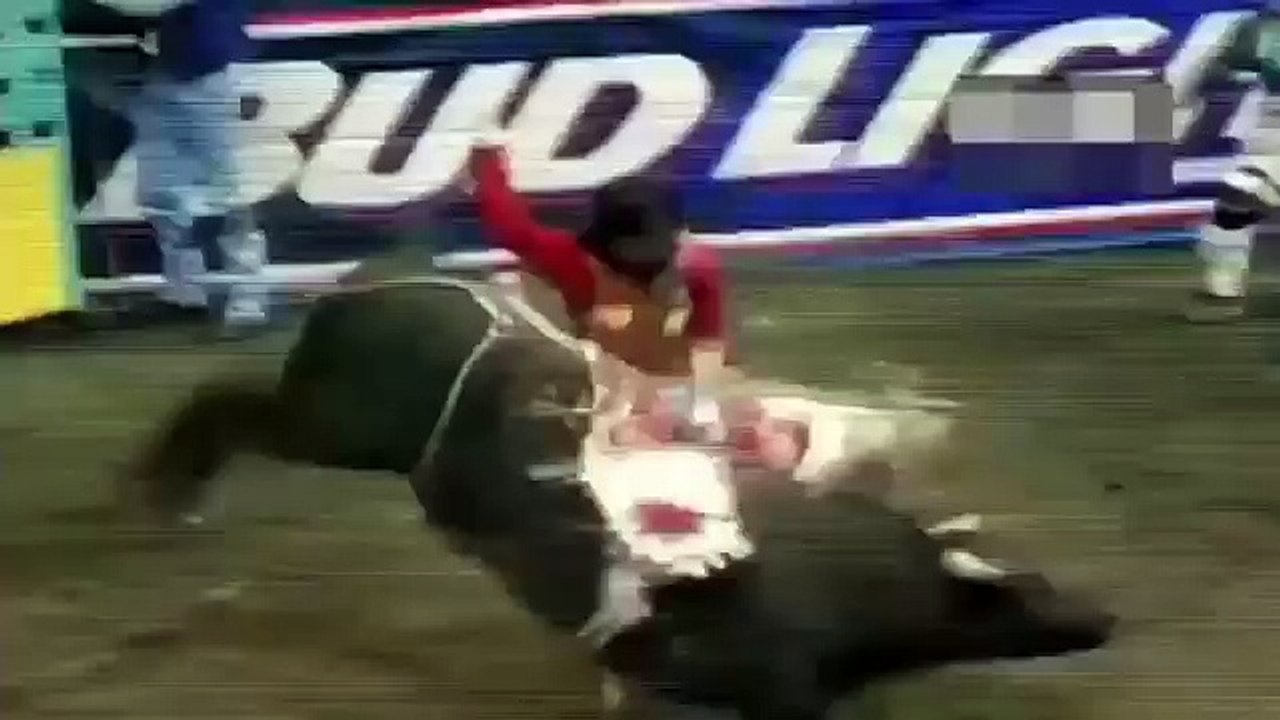 Top 15 CRAZIEST Bull Attacks - Most Amazing Wild Animal Attack - YouTube