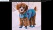 All Weather Dog Coats Blog Sheffield, United Kingdom