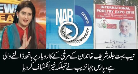 NAB jald sharif biradran ke murgi ke karobar mai haath dalne wali he - Anchor Paras