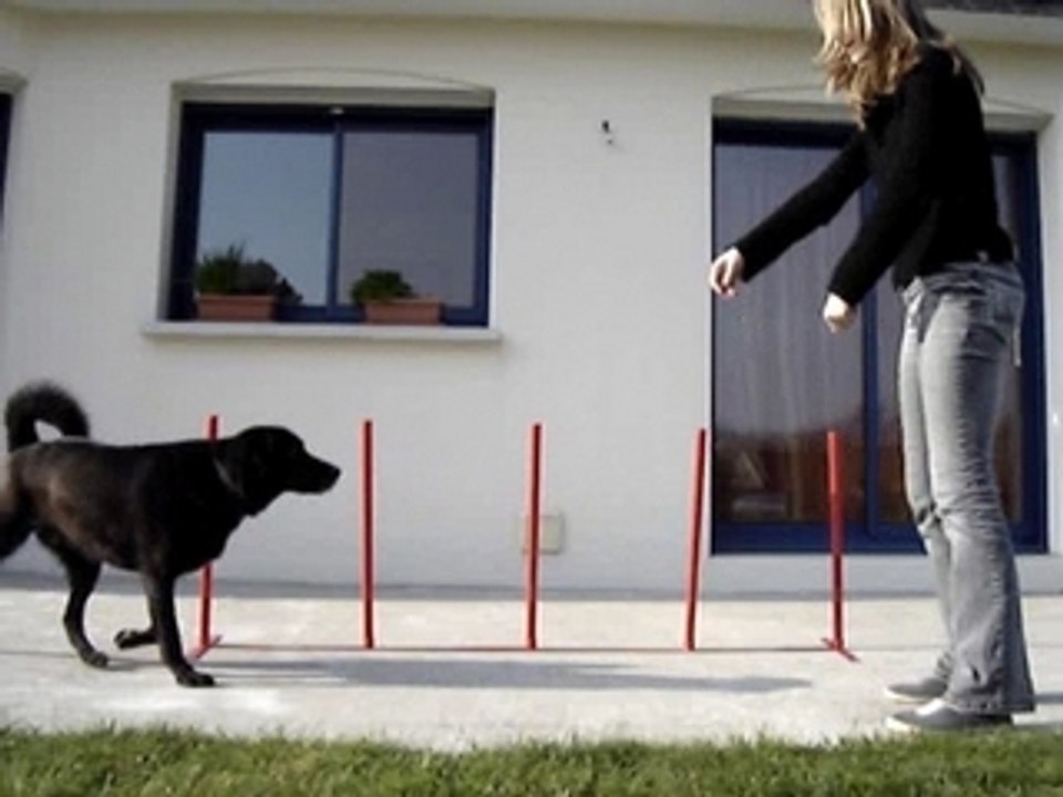 NALA OBEISSANCE RYTHMEE