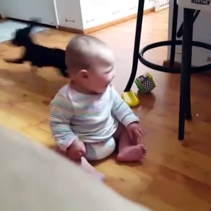 Ce chien a trouvé comment distraire et faire rire ce bébé