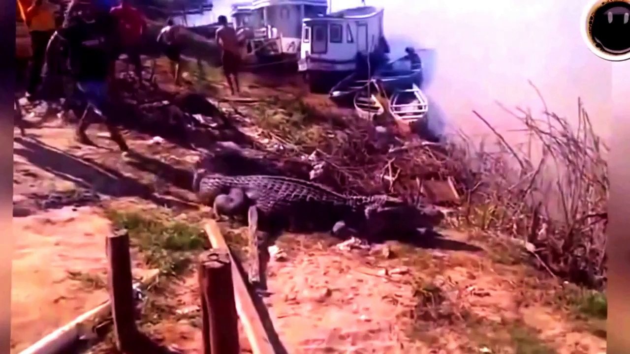 NEW FUNNY COMPILATION 2016 - 21. ЛУЧШИЕ ПРИКОЛЫ - ФЕВРАЛЬ 2015!! Śmieszne filmiki!!