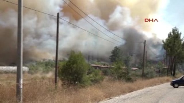 Antalya Tatil Merkezi Adrasan'da Orman Yangını -8