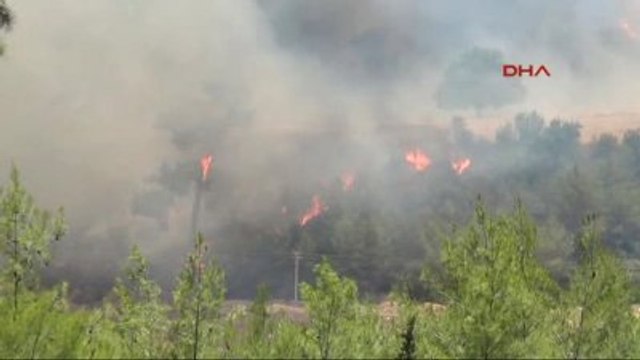 Antalya Tatil Merkezi Adrasanda Orman Yangını -5