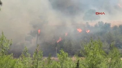 Antalya Tatil Merkezi Adrasanda Orman Yangını -5