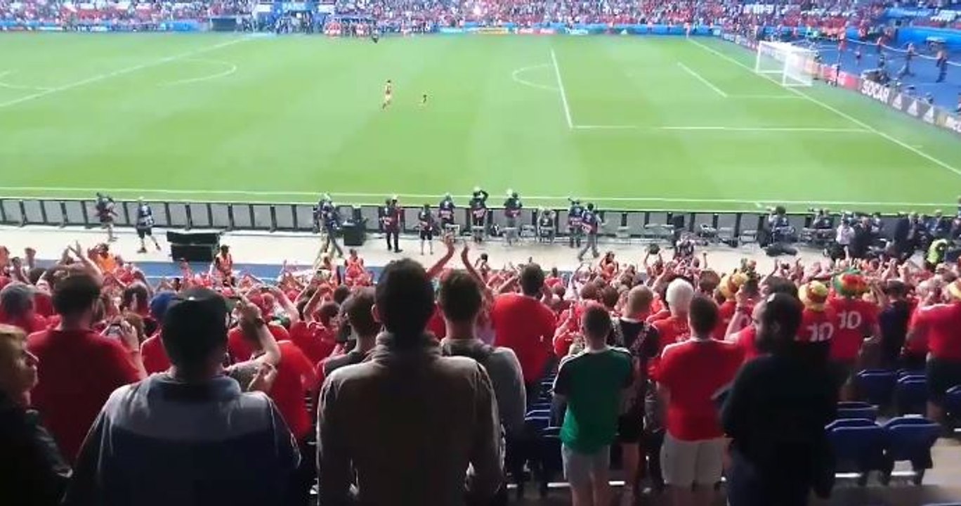Euro 2016 : La fille de Gareth Bale fait le show sur la pelouse après la qualification du Pays de Galles (Vidéo)